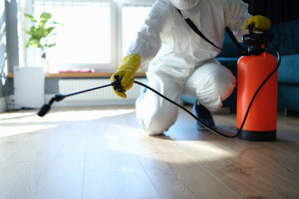 Reliable Odor Removal contractor in Longwood, FL by Trauma Clean Pros